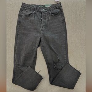 Wild Fable super high rise straight Responsible Style Distressed Black Men Jeans